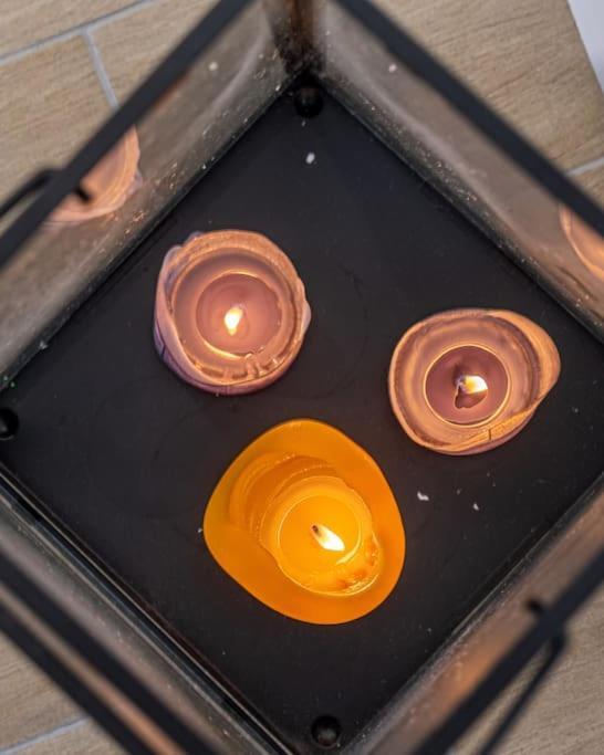 Le Magnifique T3 Lejlighed Limoges Eksteriør billede